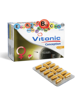 Vitonic CONCEPTION